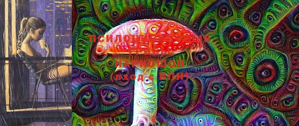 прущий лед Няндома
