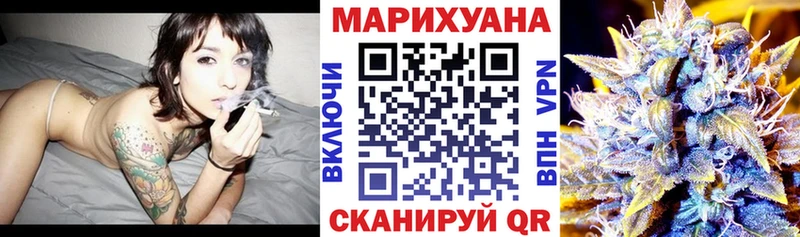 Канабис сатива  закладка  Белёв 